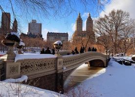 panorama del parco centrale di manhattan di new york city in inverno foto