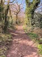 una vista della campagna del Cheshire a Bickerton foto