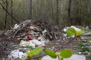 discarica nella foresta vicino alla strada foto