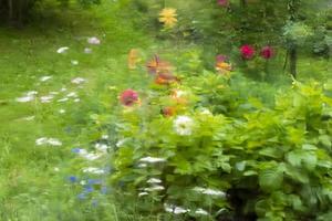 sfondo sfocato. soleggiato giardino estivo con erba verde, bella luce solare e gocce d'acqua blured foto