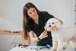 la giovane donna sta lavorando con l'animale domestico. simpatico cagnolino è nello studio di toelettatura foto