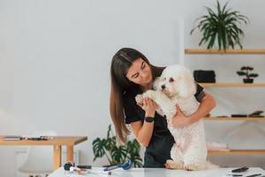 seduto sul tavolo. simpatico cagnolino è nello studio di toelettatura foto