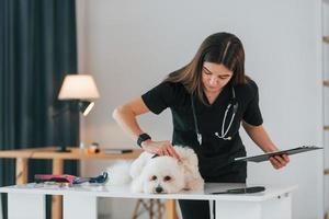 la dottoressa è con il blocco note. simpatico cagnolino è nella clinica veterinaria foto