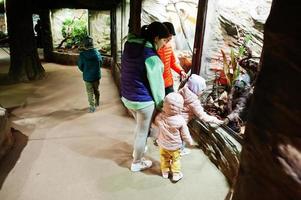 madre con quattro bambini che scopre e guarda gli animali allo zoo. foto