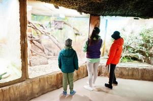 madre con bambini che scopre e guarda gli animali allo zoo. foto