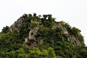 foresta di roccia di montagna. foto