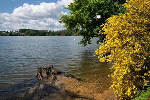 bacino idrico di brucher, Marienheide, Bergisches Land, Germania foto