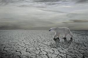 concetto di riscaldamento globale foto