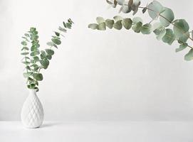 rami verdi di eucalipto primaverile in vaso bianco. mockup per l'inserimento di prodotti o un'iscrizione motivante. mock up leggero e arioso. design minimal in stile nordico scandinavo. foto