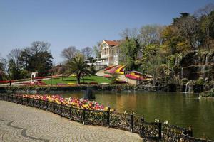 tulipani colorati nel parco emirgan, istanbul, turchia foto