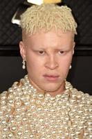 los angeles 26 gennaio - shaun ross al 62° Grammy Awards allo Staples Center il 26 gennaio 2020 a los angeles, ca foto