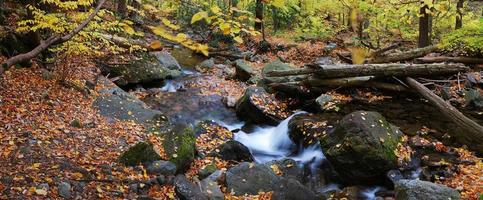 vista sul torrente autunnale foto