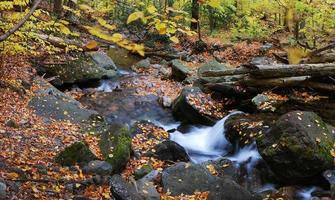 vista sul torrente autunnale foto