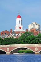 campus universitario di harvard foto