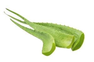 aloe vera fresca isolata sopra bianco foto