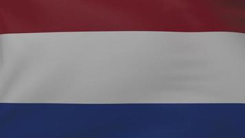 trama della bandiera dei Paesi Bassi foto