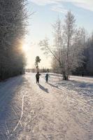 attività all'aperto invernale. madre e figlia che sciano nella foresta foto