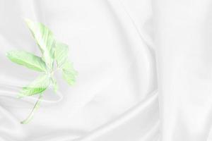 sovrapposizione di motivo a foglie di palma verde con sfondo sfocato morbido in tessuto bianco foto