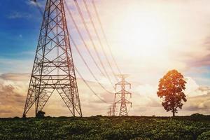 alimentazione ad alta tensione e linea elettrica con sfondo alba e albero foto