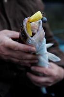 walleye catturato con esche artificiali fatte a mano