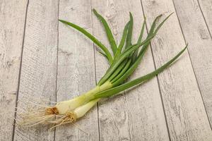 giovane cipolla verde fresca saporita foto