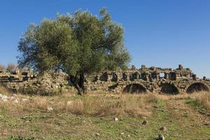 rovine a lato foto