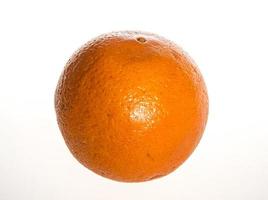 arancione isolato su sfondo bianco foto