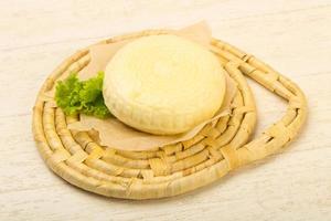 suluguni di formaggio giovane foto