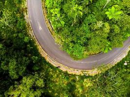 ripresa aerea di strada nella foresta tropicale foto