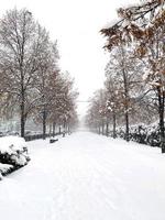 strada della città nella neve senza persone. nevicando. foto