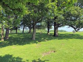 una vista della campagna del Cheshire vicino a Knutsford in estate foto