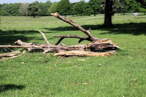 una vista della campagna del Cheshire vicino a Knutsford in estate foto