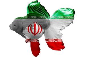 3d bandiera dell'iran sul pesce rosso foto