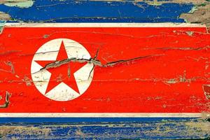 Bandiera 3d della Corea del Nord su legno foto