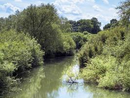 River derwent at wheldrake ings, North Yorkshire, Inghilterra foto