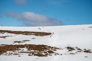 gruppo di viaggiatori che fanno un'escursione sulla neve nel parco nazionale della montagna della culla, stato della tasmania dell'australia nella stagione invernale. foto