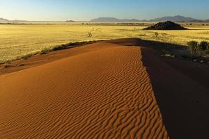 duna di sabbia rossa ed erba secca gialla foto