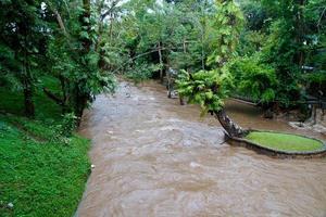 fiume nella giungla, tailandia foto