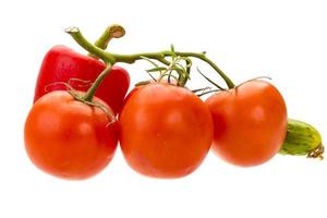 peperone rosso, ramo di pomodoro e cetriolo foto