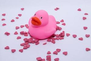 anatra di gomma rosa su cuori di San Valentino foto