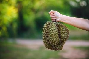 buccia di durian matura e fresca, di colore giallo su tavola di legno foto