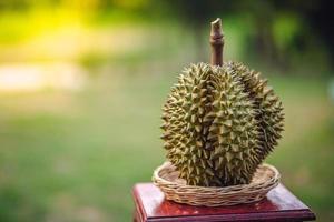 buccia di durian matura e fresca, di colore giallo su tavola di legno. foto