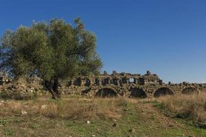 rovine a lato foto