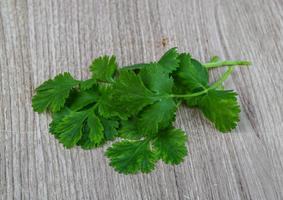 foglie di coriandolo verde foto