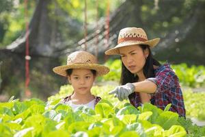la madre e la figlia asiatiche stanno aiutando insieme a raccogliere la verdura idroponica fresca nella fattoria, il giardinaggio concettuale e l'educazione dei bambini dell'agricoltura domestica nello stile di vita familiare. foto