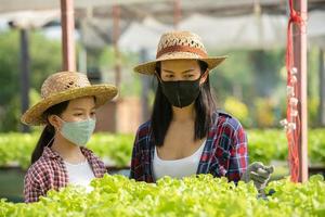 la madre e la figlia asiatiche indossano la maschera stanno aiutando insieme a raccogliere la verdura idroponica fresca nella fattoria foto