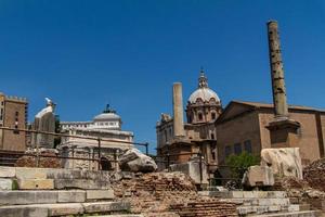 rovine romane a roma, foro foto