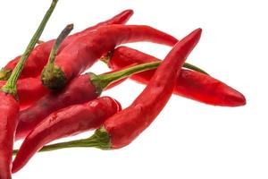 peperoncino rosso foto