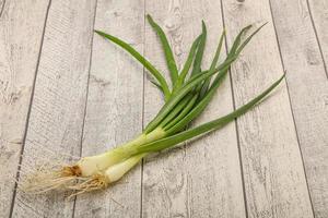 giovane cipolla verde fresca saporita foto