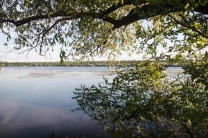 paesaggio del fiume Dnepr, regione di zaporozhye. Ucraina. vista estiva del fiume in alberi verdi, fauna selvatica, riserva naturale, cielo azzurro foto